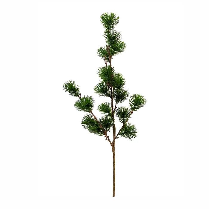Needle Pine Spray